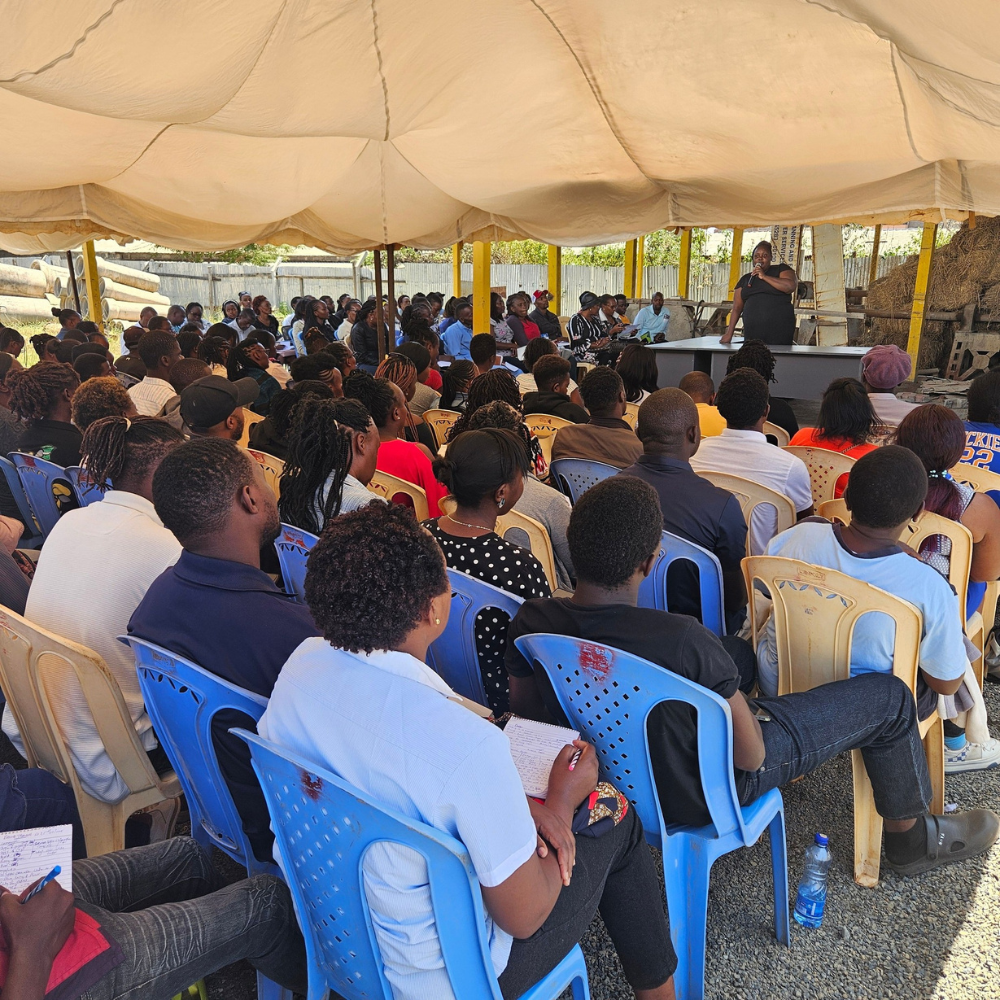 Collective Training — Skill Up 2024 Cohort